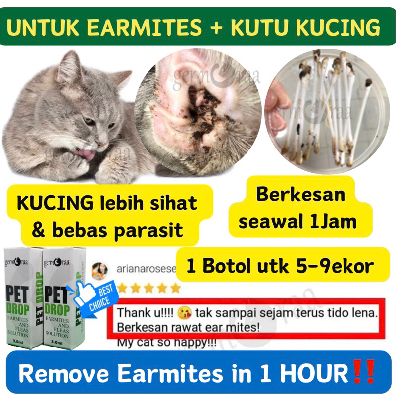 Ubat Kutu Kucing Ubat Kutu Telinga Kucing Earmites Drop Cat Hama Flea Ubat Kutu Kucing Paling Berkesan 3ml