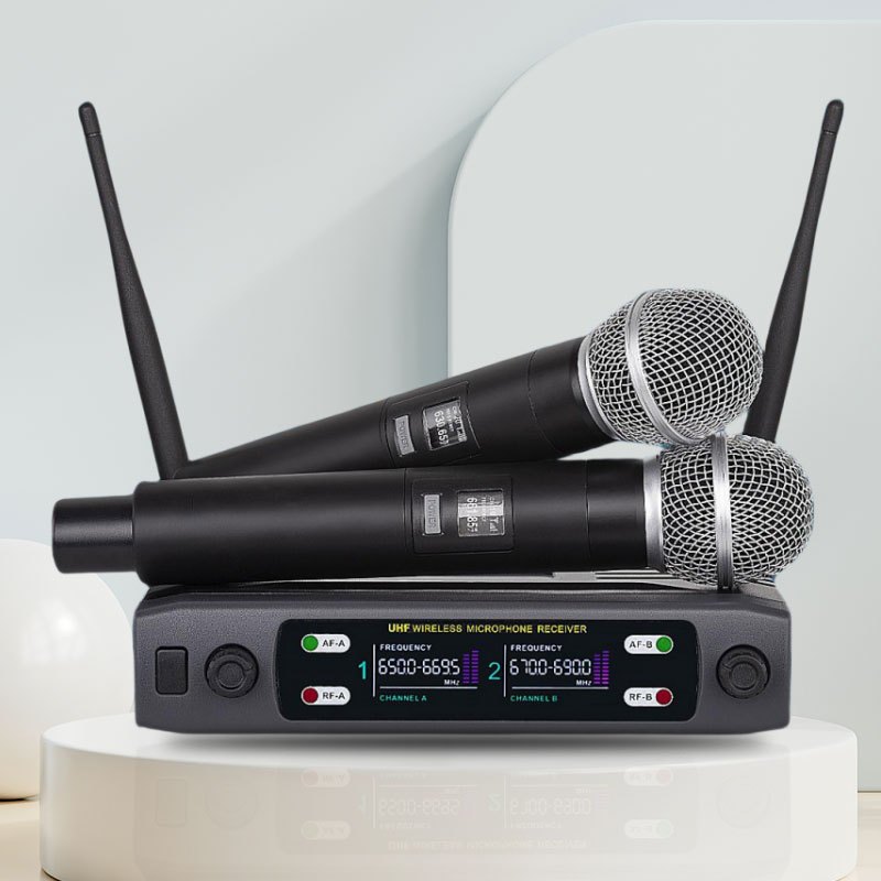 Professional Wireless Dual Microphone Audio Equipment System Anti-Interference for Karaoke Singing Live