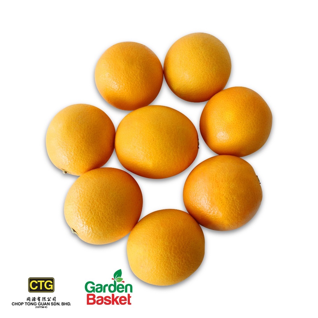 CTG South Africa Valencia Oranges 5/10 pcs - - [High in Vitamin C] [Sweet] [Healthy Food] [Fresh] [Garden Basket]