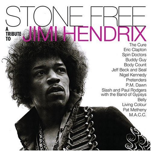 Various - Stone Free A Tribute To Jimi Hendrix (1993 Reprise Records 9 45438-2 USA) Digital Music Download Album