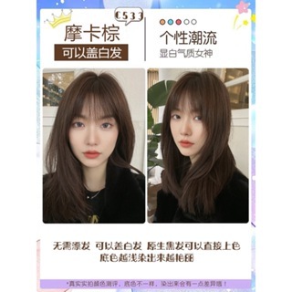 Hair Dye Shoupin首品 Pewarna Rambut Hair Colouring 染发剂流行色【Free Peroxide 100ml (9% or 12%) + full set tool】