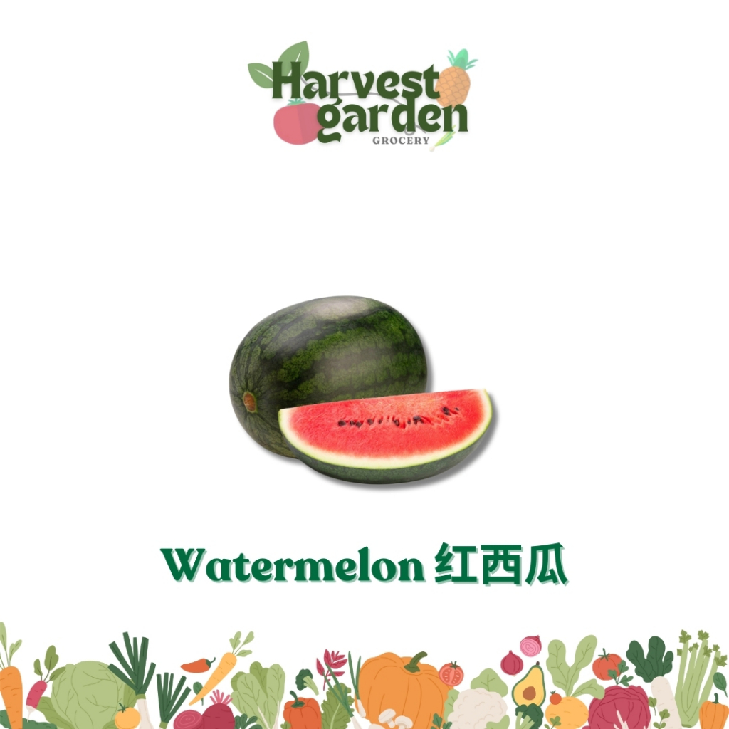 Watermelon (Red) // Tembikai Merah // 红西瓜