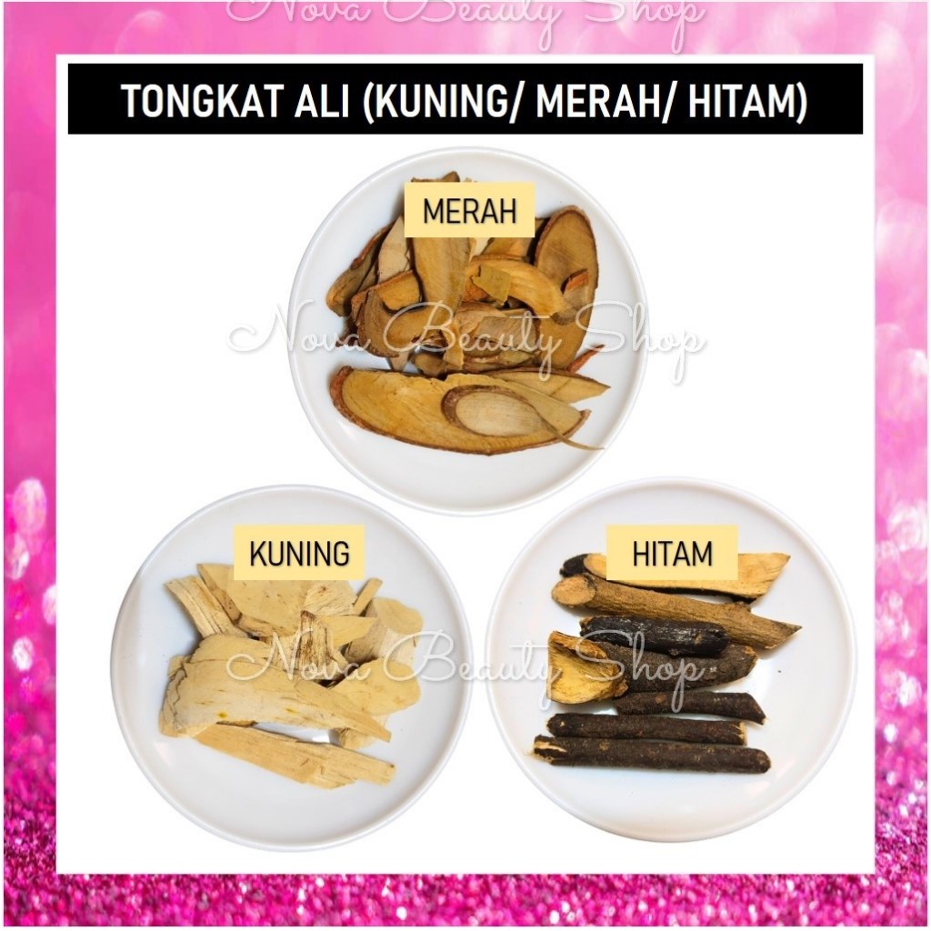 Tongkat Ali Asli (Kuning / Merah / Hitam) | Pasak Bumi / Long Jack / Malaysian Ginseng | Eurycoma longifolia / Jackia