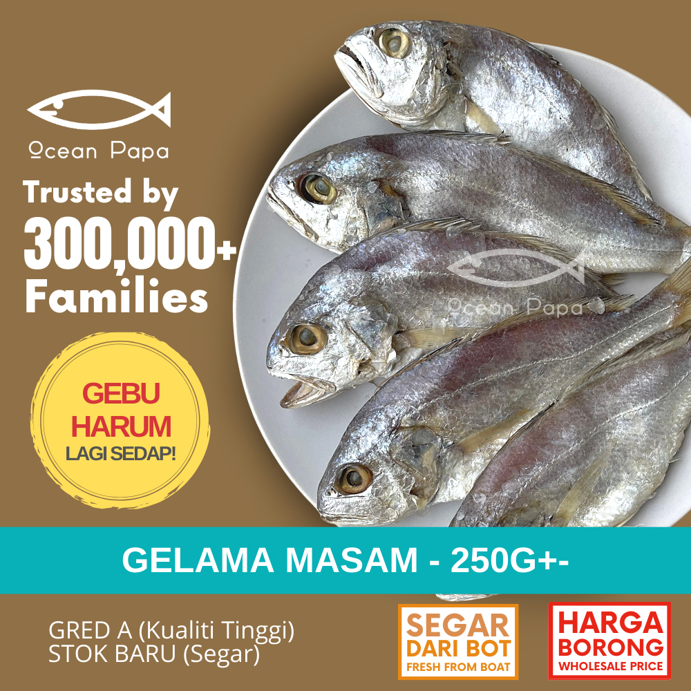 Ocean Papa Ikan Masin Gelama Masam (250g) / Tengkerong Masam (300g) Gred A / Salted Fish