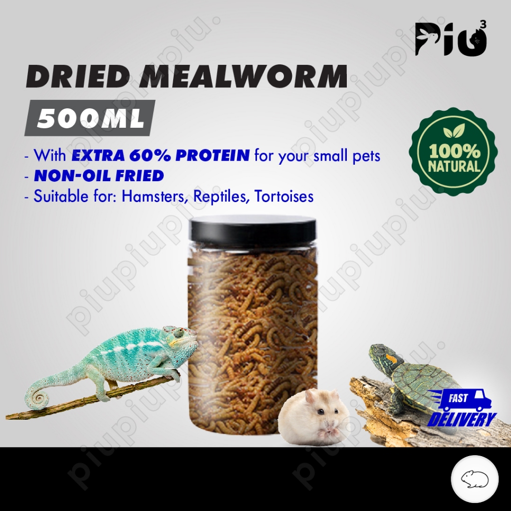 [24HR SHIP] 500ML (110g) DRIED MEALWORM Hamster Treats Turtle Hedgehog Sugar Glider Chicken Feed 仓鼠 面包虫 刺猬 乌龟 蜜袋鼬 宠物零食