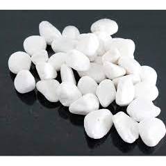 1 KG PURE WHITE PEBBLE STONE GARDEN LANDSCAPE DECORATION AQUARIUM BATU KACANG PUTIH