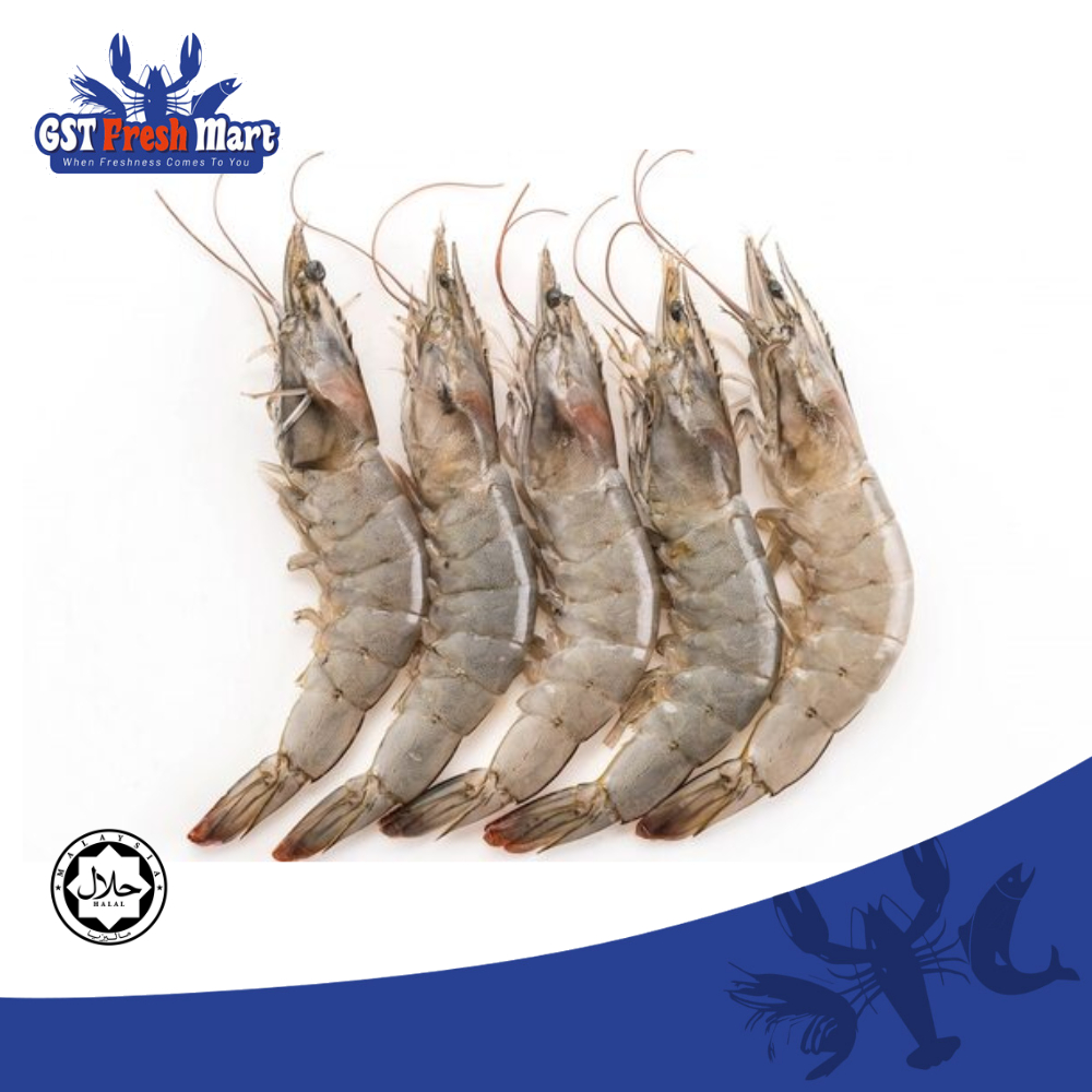 FROZEN VANNAMEI SHRIMP HOSO SIZE 71/90 (35-40 PCS 500GM/PKT) 养殖白虾 - GST FRESH MART