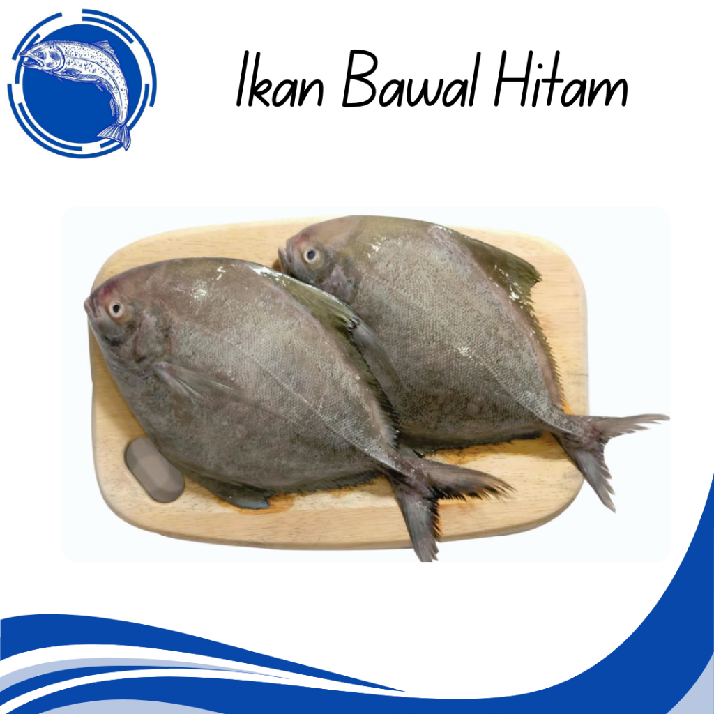 Hari Raya Sales Frozen Ikan Bawal Hitam | Black Pomfret | 黑昌鱼 [ 1KG+- ]