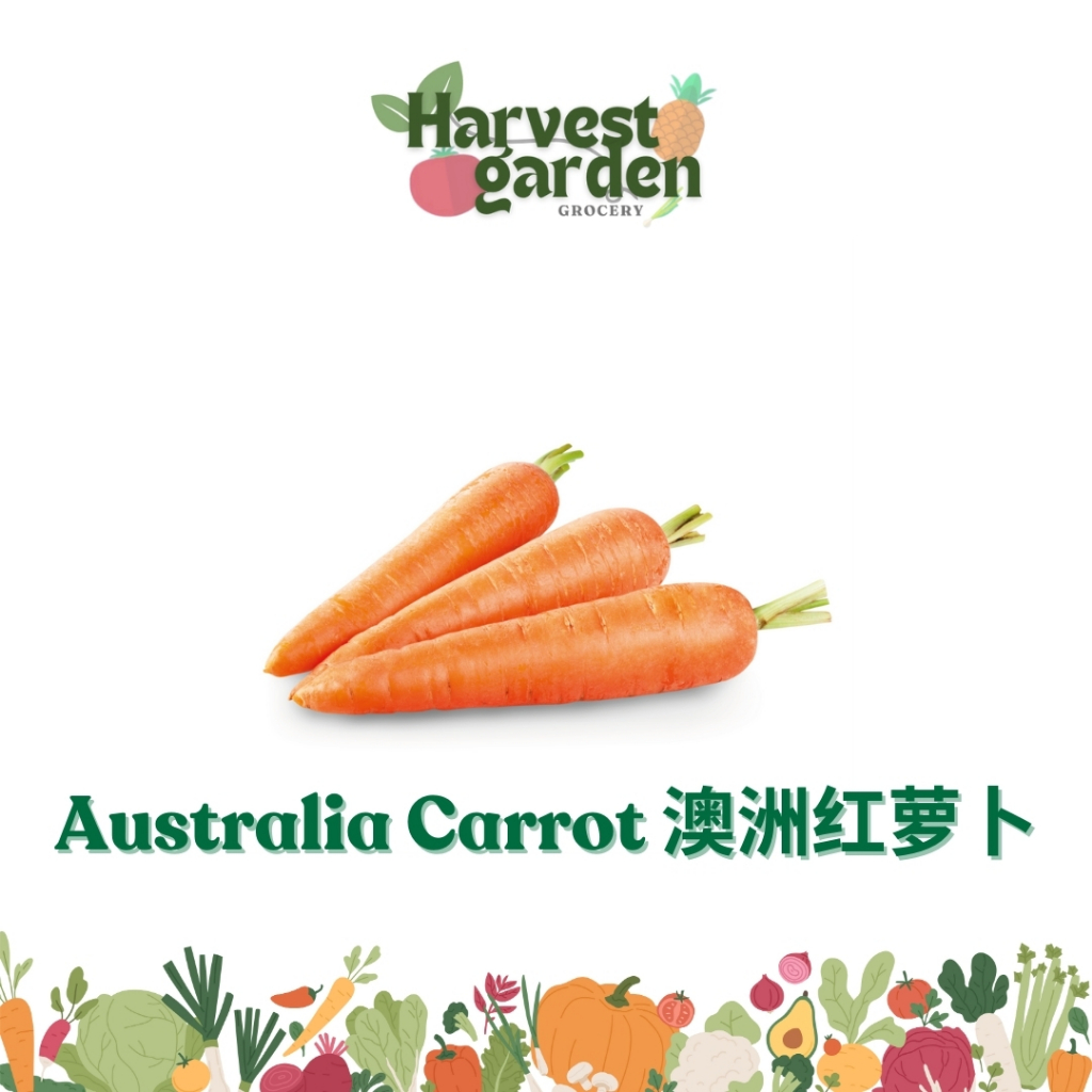 Australia Carrot 澳洲红萝卜 1PKT (500g) Daily Fresh Vegetable