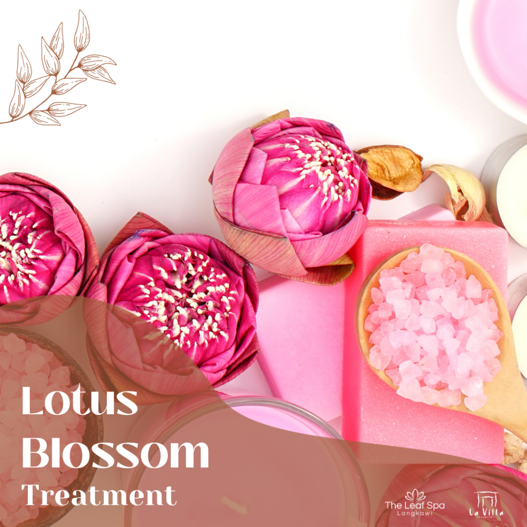 Lotus Blossom Spa Package By The Leaf Spa, La Villa Langkawi-Private Pool