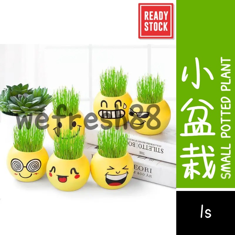 [Limited Offer] DIY Emoji Potted Mini Plant Grass Indoor Table Plant 草头娃娃 可爱表情室内小盆栽 桌面迷你绿植 (1s)