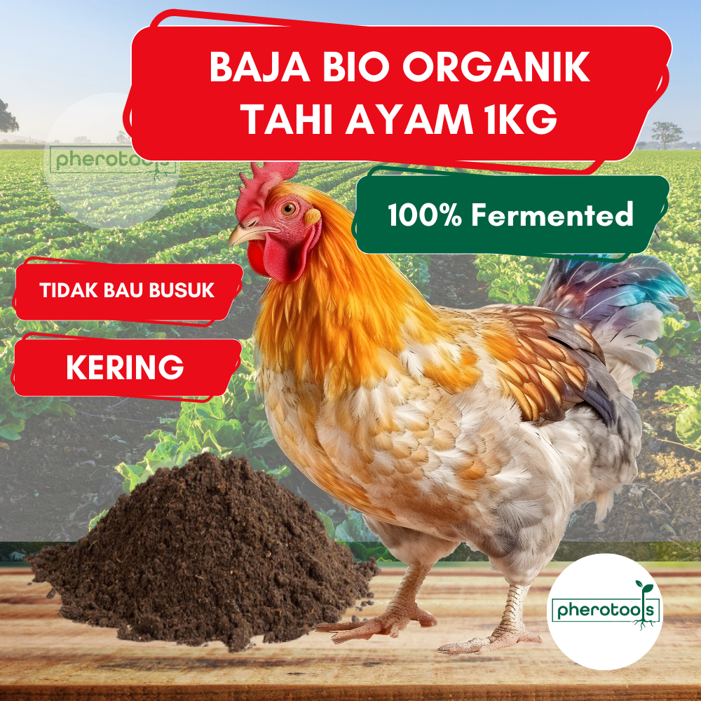BAJA ORGANIK 1KG PREMIUM Tahi Ayam Serbuk Proses Chicken Manure Organic Fertilizer Baja Subur Pherotools