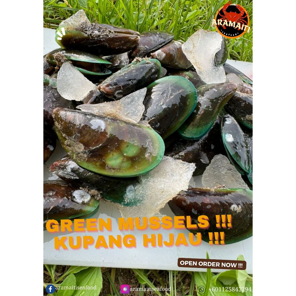 GREEN MUSSELS !!! KUPANG HIJAU FRESH FROZEN !!!