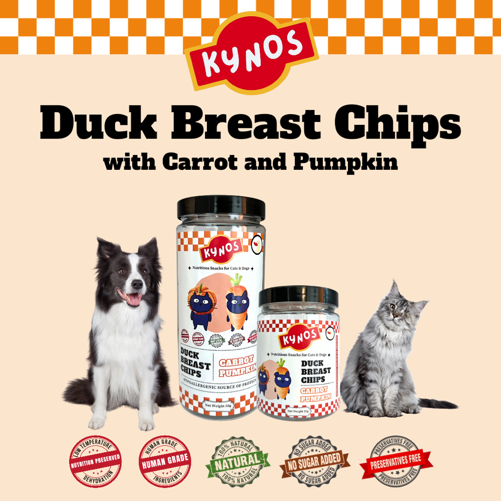 [KYNOS] Handmade Crispy Duck Breast Chips with Carrot Pumpkin for Dogs and Cats自制猫狗宠物香脆鸭胸鸭片零食 Training Nutritious Treats