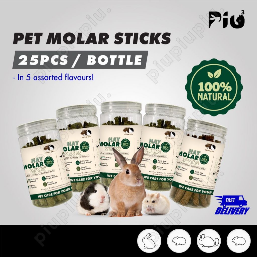 [24HR SHIP] MOLAR GRASS STICK hamster rabbit chew chinchilla guinea pig food snacks timothy hay alfalfa carrot 零食磨牙草棒