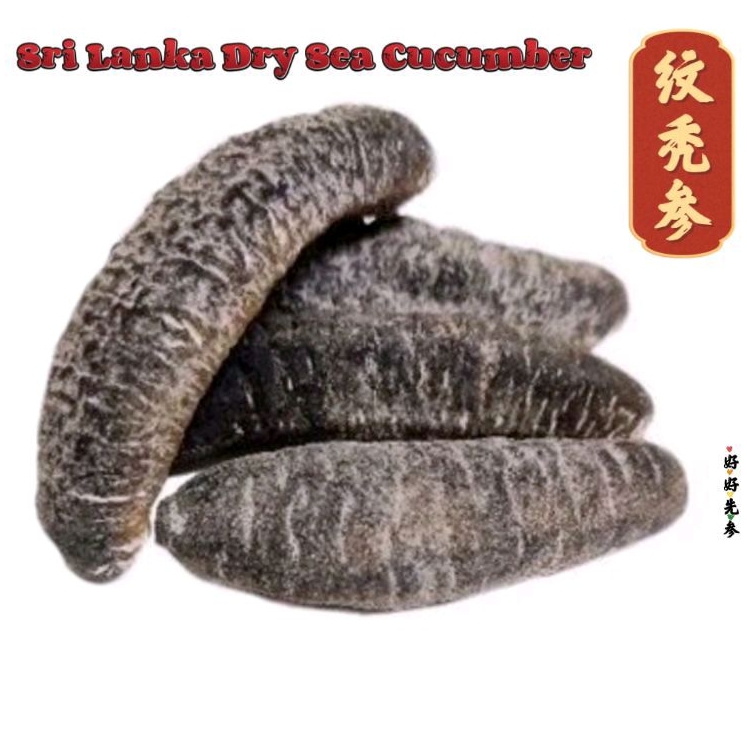 品质好 海参 干海参 Sri Lanka Sea cucumber 小海参 纹秃参 现货!Ready stock!補品 热卖Hot selling海黄瓜 hoy sum胶原蛋白海产 海味 干货 dry seacucumber