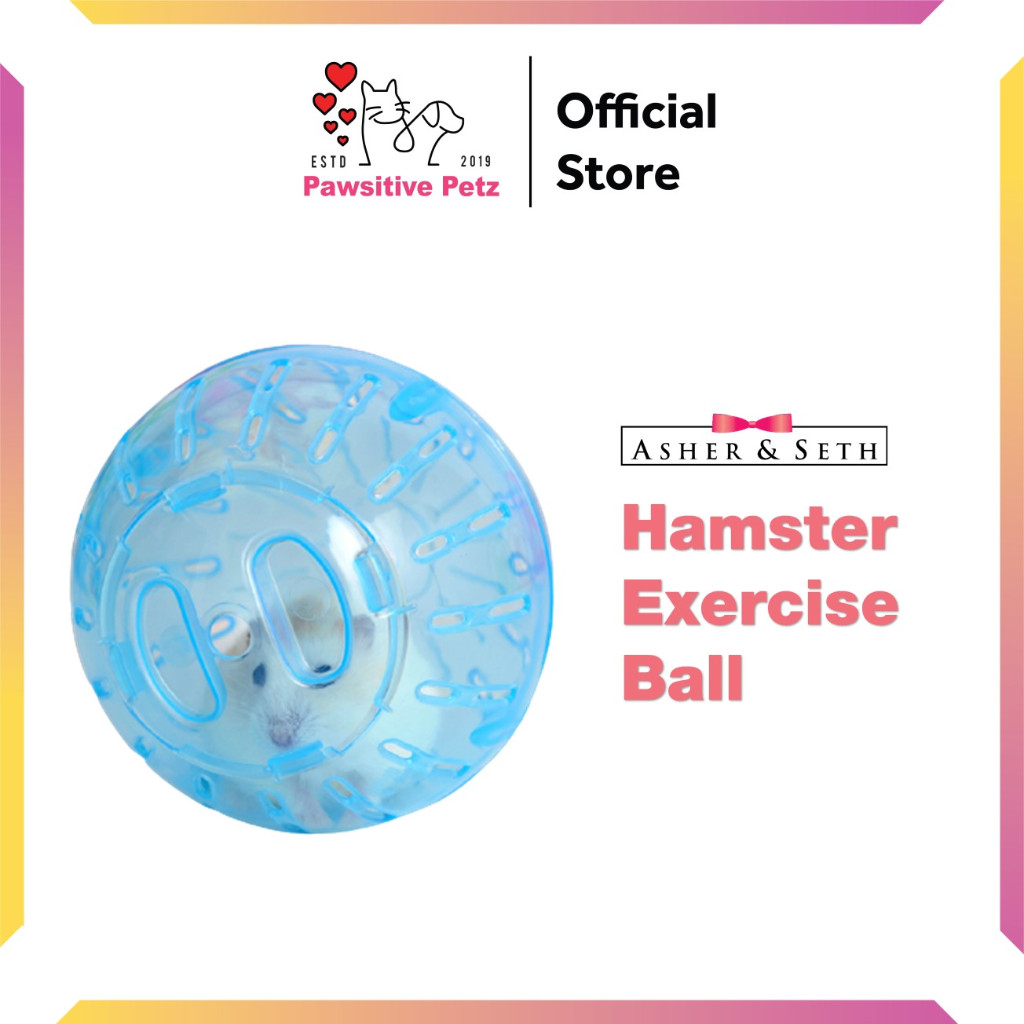 Hamster Exercise Ball - 12cm | Bola Hamster | 仓鼠滚球 | Syrian, Dwarf and Robo Hamsters | Small Animals | Bo Ball | Hamster