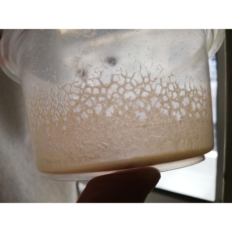 Buy 2 Free 1 ??Microworms Live Fish Food 50g Starter Culture(Culture Manual Included)