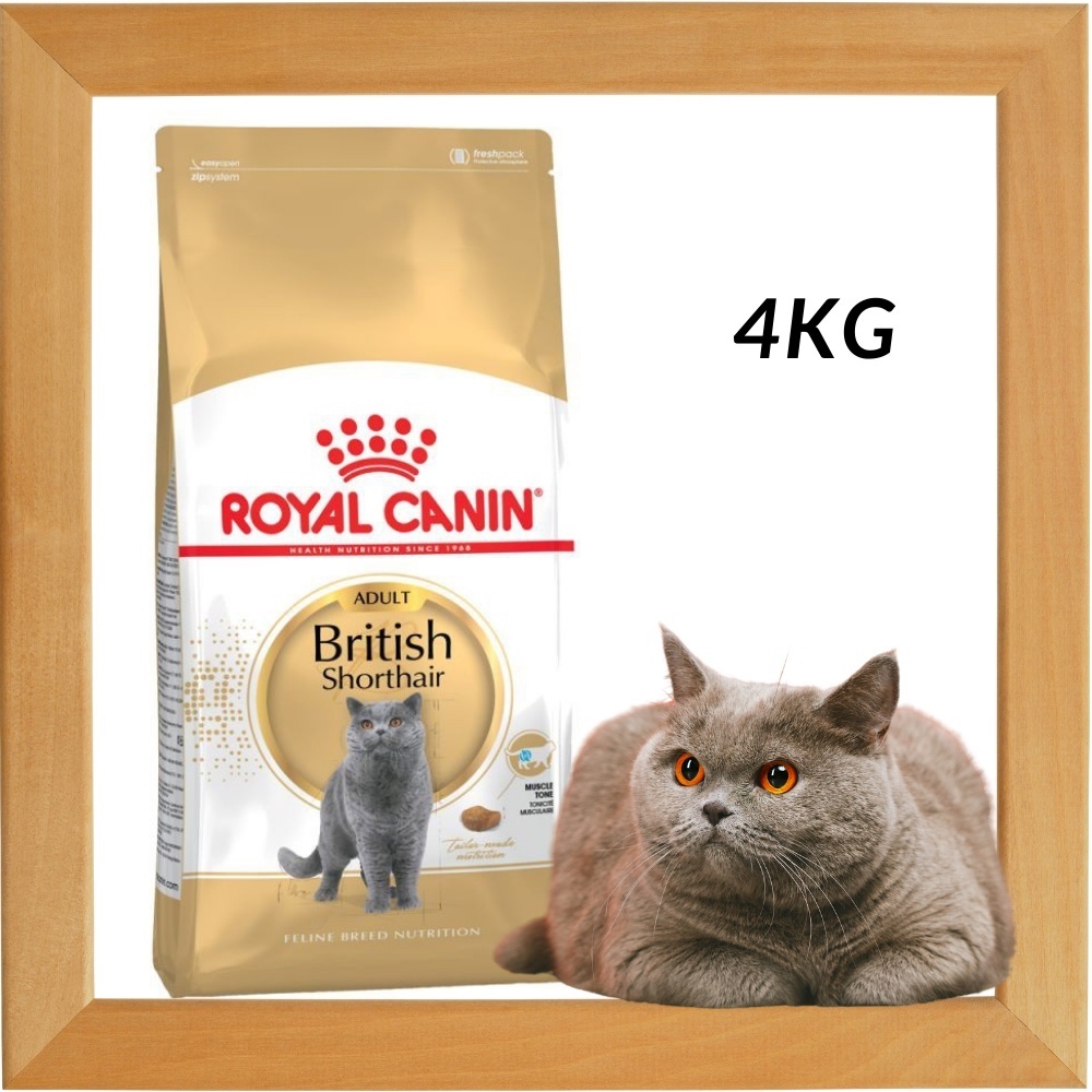 Buy royal canin british shorthair Online With Best Price, Oct 2025