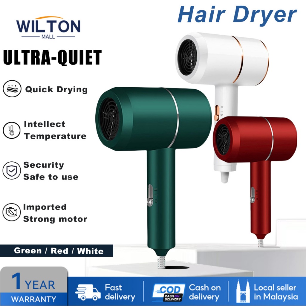 Hair Dryer Ionic Professional 1200W Hair Dryer BluRay Low-Noise Fast-Dry Radiation Free Dryer Pengering Rambut吹风机