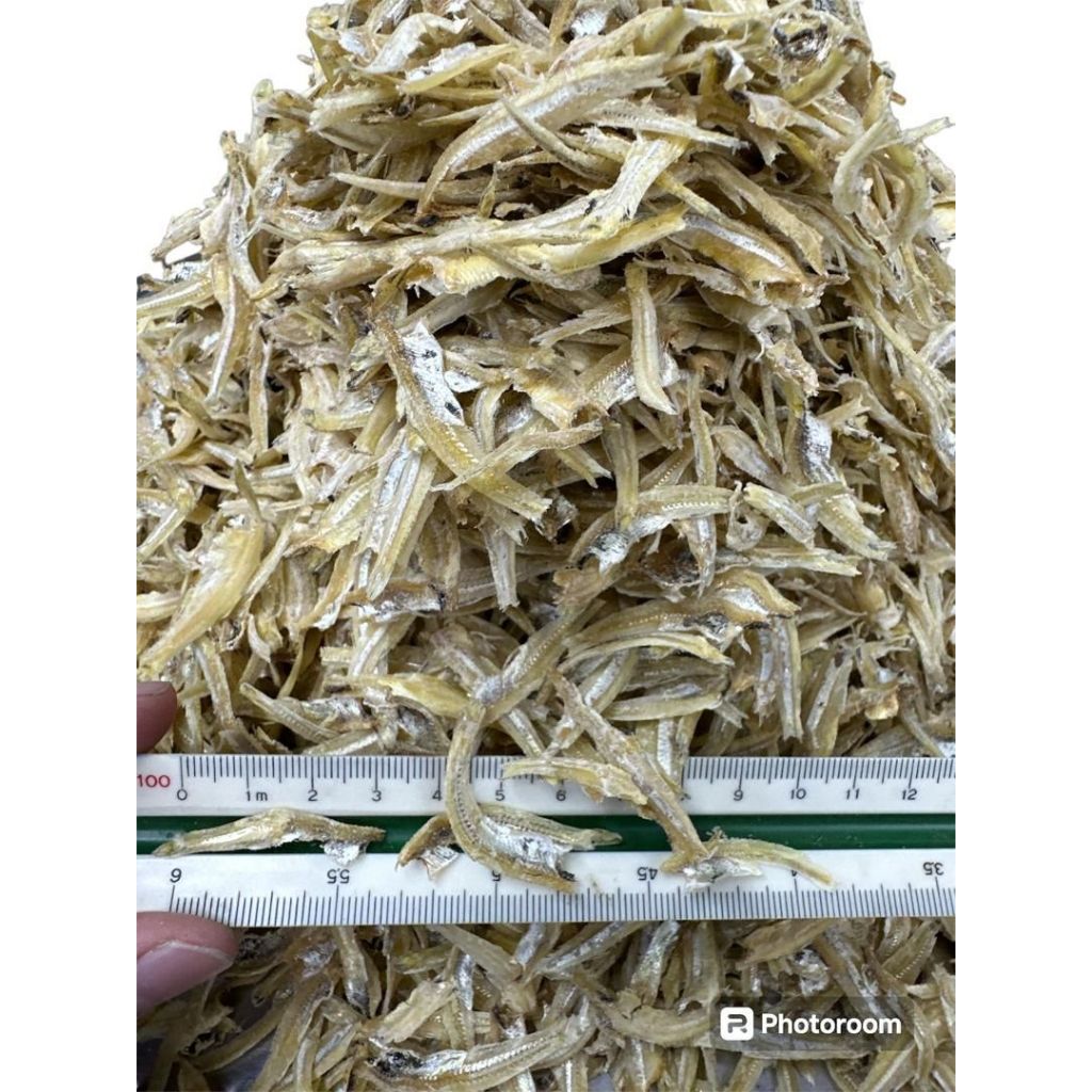 邦咯岛Pulau Pangkok Premium Ikan Bilis Mata Biru