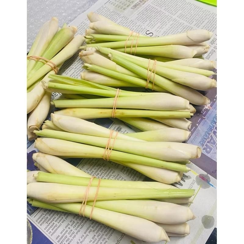 SERAI PEHA AYAM Beli Dulu Baru Tahu, siap cuci✅ puas hati