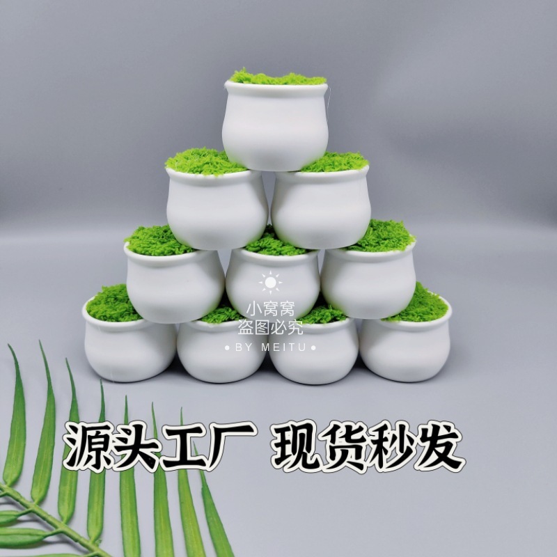 Small flower pot/vase mini frame woven hook pot holder anti-fall plastic small white hook flower