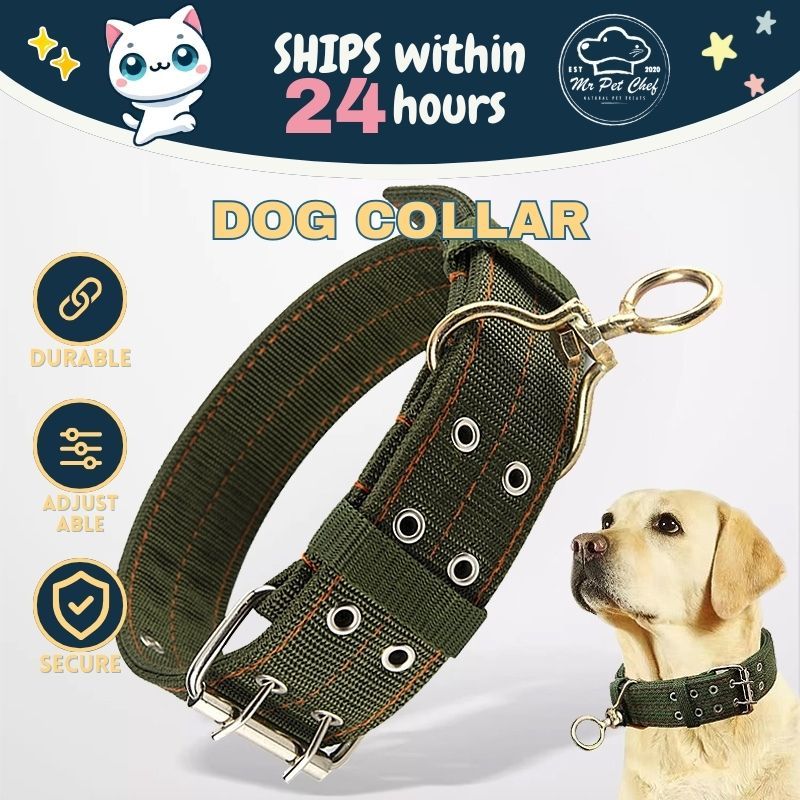 MR PETCHEF Dog Collar Heavy Duty Pet Collar Dog Chain Heavy Duty Colar Anjing Kolar Anjing 狗狗项圈 狗链