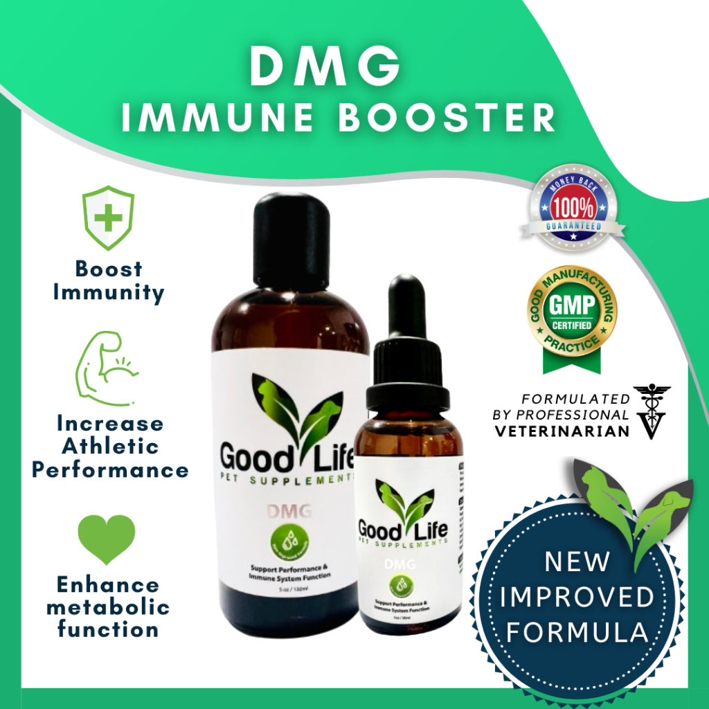 GoodLife DMG Immune Booster for Cats & Dogs, Imunisasi Bagi Kucing & Anjing 30ml 150ml