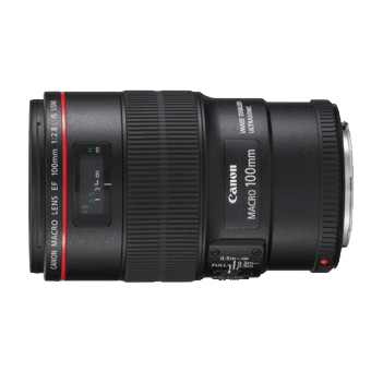 Canon EF 100mm F2.8L Macro IS USM