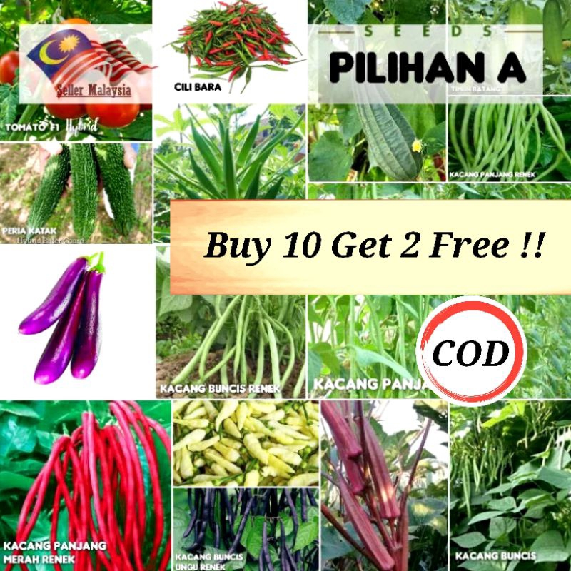 PILIHAN A▶ Pelbagai BENIH SAYURAN BERDAUN/BERBUAH/Vegetable seeds.