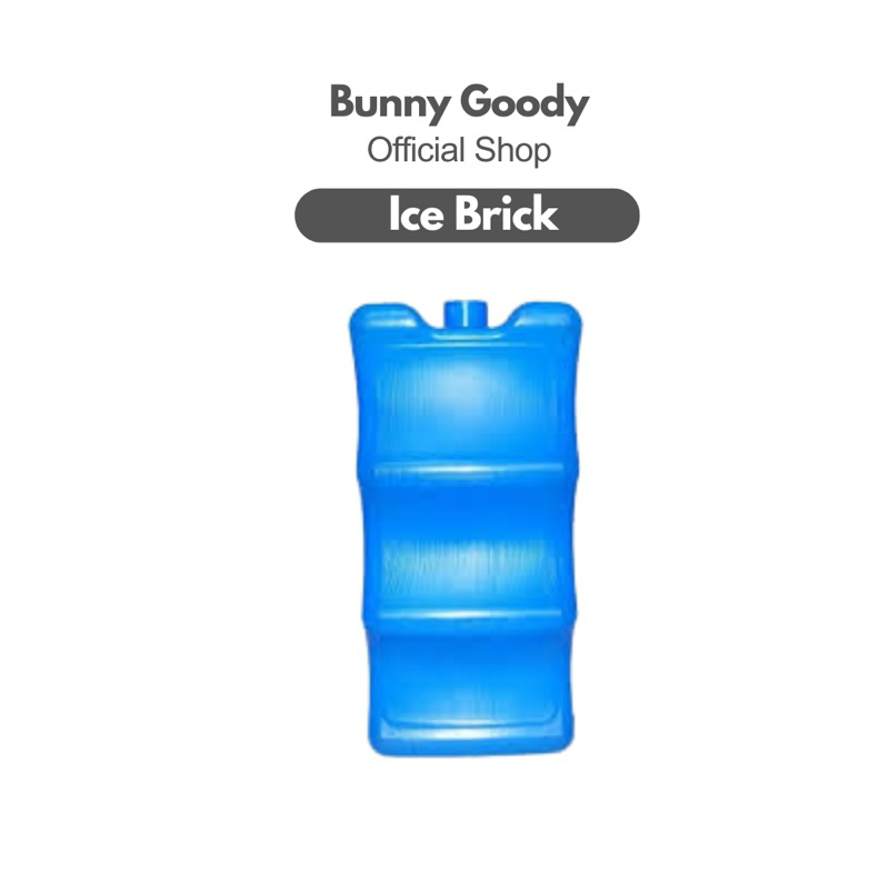 V-COOOL Ice brick ice pack cooler bag Lunch Breastmilk storage bottle insulin vaccine