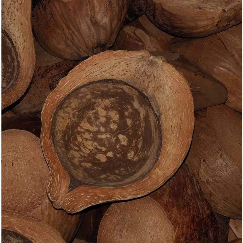 KF Studio - Coconut Shell Bowl-Natural