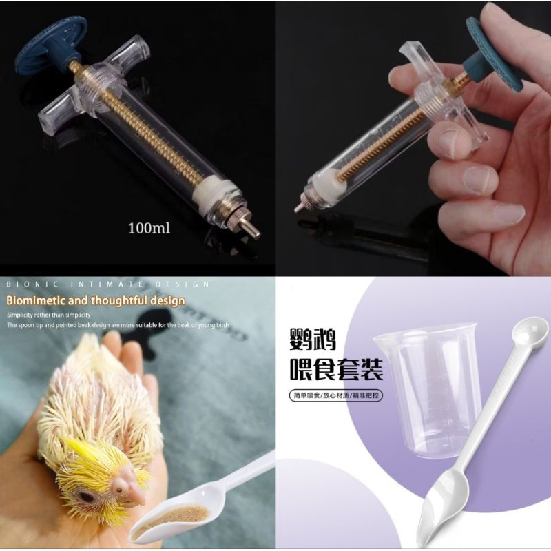 ?Ready Stock?Bird Feeding Syringe Feeding Tubes for Baby Birds Parrot Hand Feeding Syringe