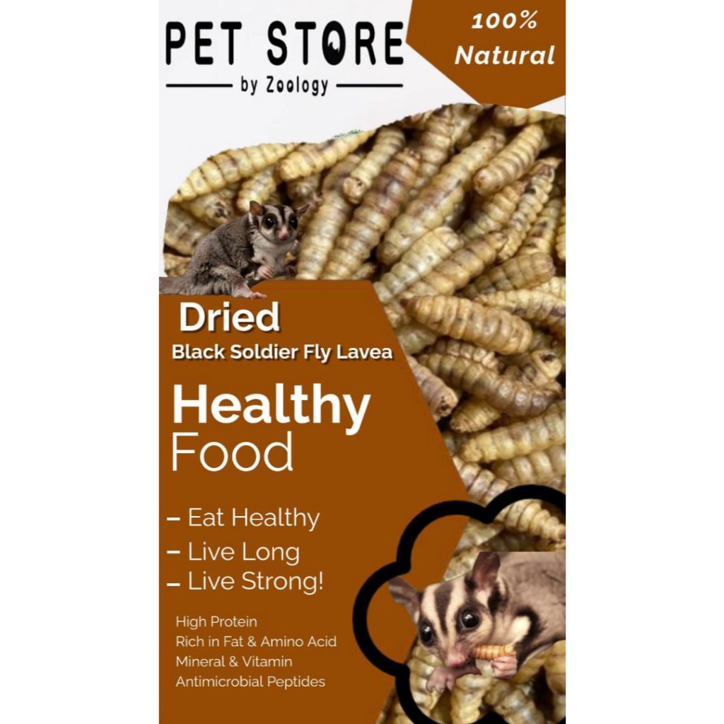 Dried black soldier fly larvae - Sugar glider snack hamster small animals reptiles healthy treat high protein 50G 100G