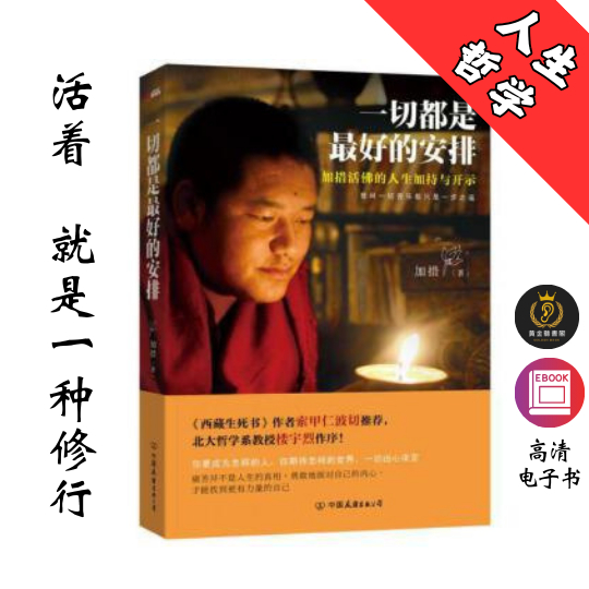 【活着 就是一种修行】《一切都是最好的安排》 Chatgpt | GoogleDrive | AI | deepseek