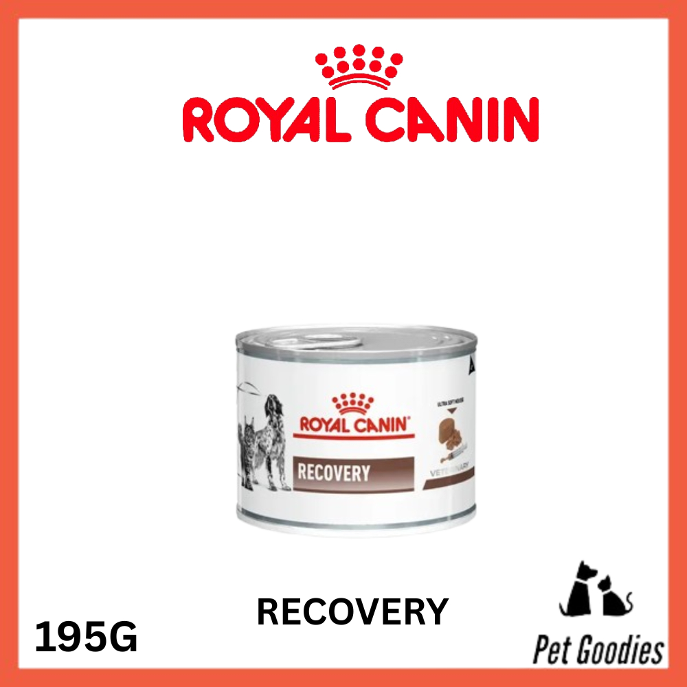 Royal Canin Recovery Can Feline Kucing Cat Canine Dog Wet Food 195G