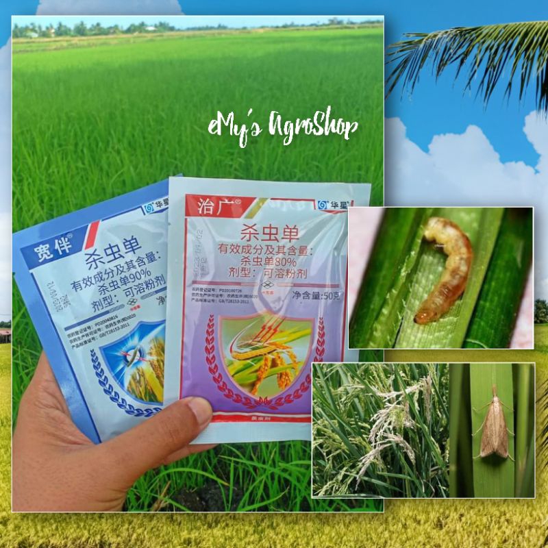 Ulat Pengorek Batang "Serap" (bunuh telur Rama-rama) Monosultap 90% Kuat