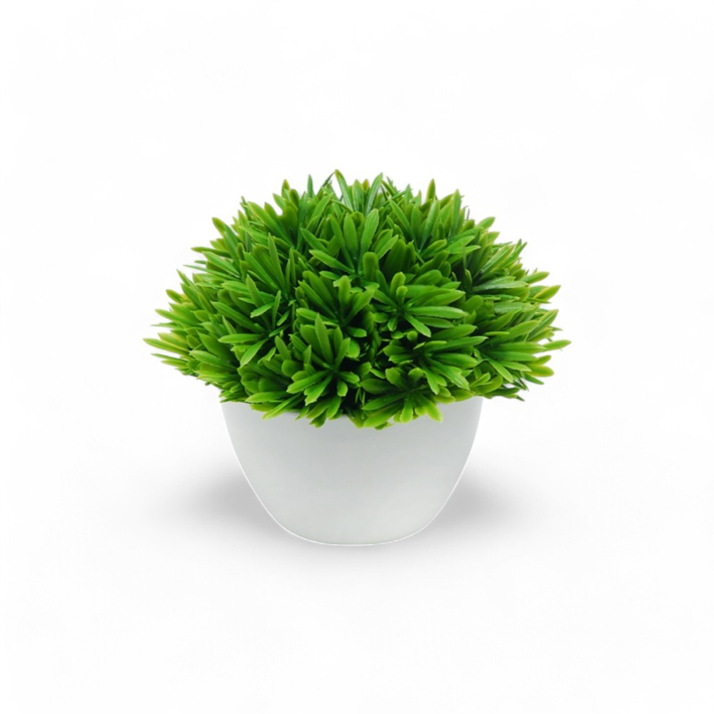 SSFHome - Potted Plant (H16cm) Home Decor