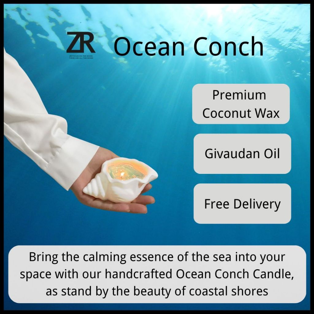 ZR/Candle+DIY+Mold/Conch 33g7h/Ocean scent/Scented Candle/DIY material/Silicon Mold/Coconut Wax/Gel Wax 香薰蜡烛果冻蜡海螺海星贝壳材料包