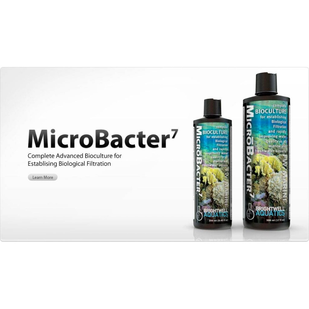 BRIGHTWELL MICROBACTER 7