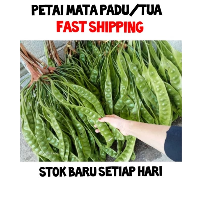 SALE‼️PETAI 1 PAPAN FRESH MATA BESAR DAN PANJANG Gred A/AA(Puas Hati)