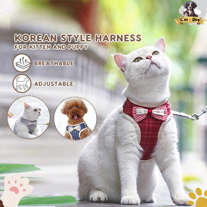 KOREAN STYLE CAT HARNESS | ACCESSORIES | CAT