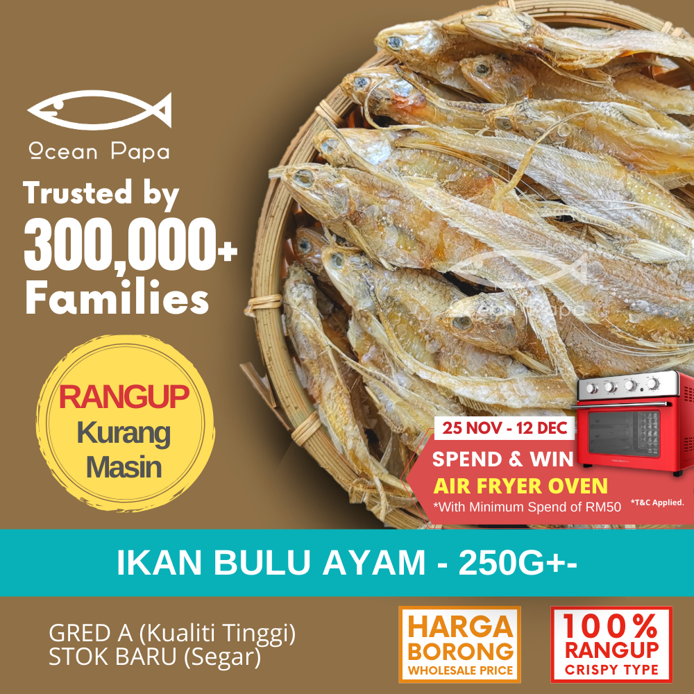 Ocean Papa Ikan Masin Bulu Ayam Gred A (250g) / Salted Fish