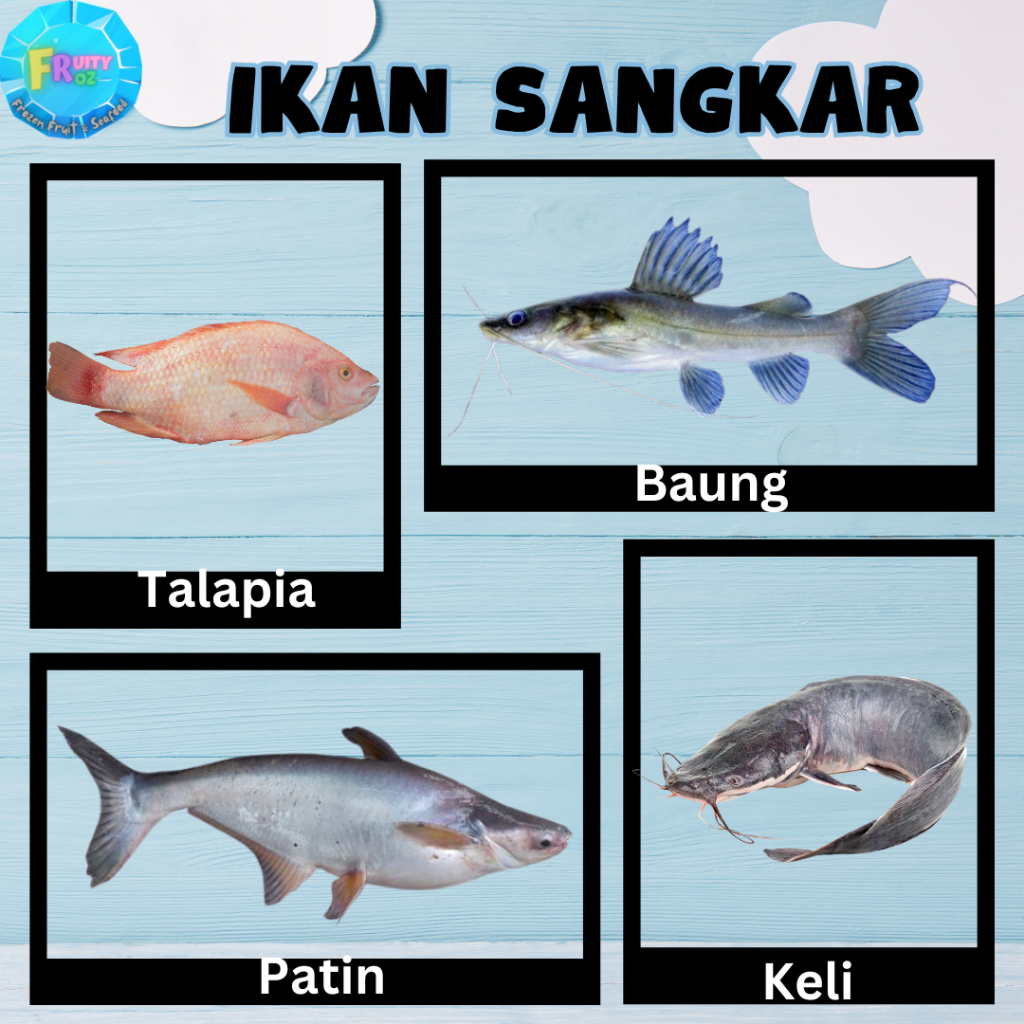 [500G - 1.6KG] Frozen Baung Patin Tilapia Cage Fish / Ikan Sangkar Sungai Bela Sejuk Beku