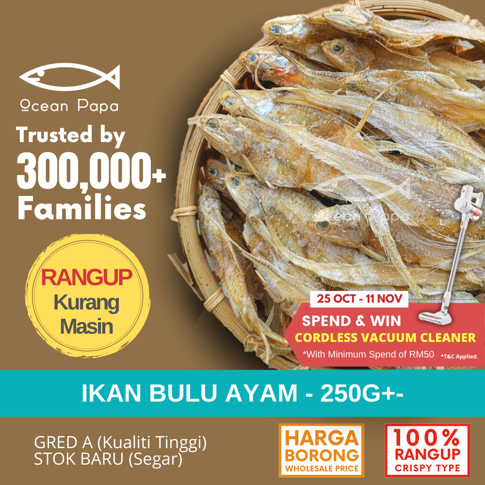 Ocean Papa Ikan Masin Bulu Ayam Gred A (250g) / Salted Fish