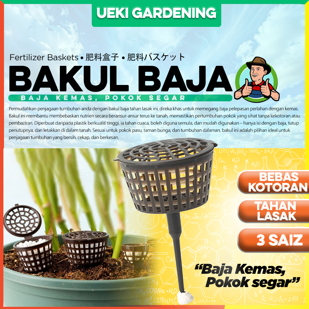 my-11134207-7rasf-m4ll4p8jznax72 Orked Harimau - Grammatophyllum speciosum Blume