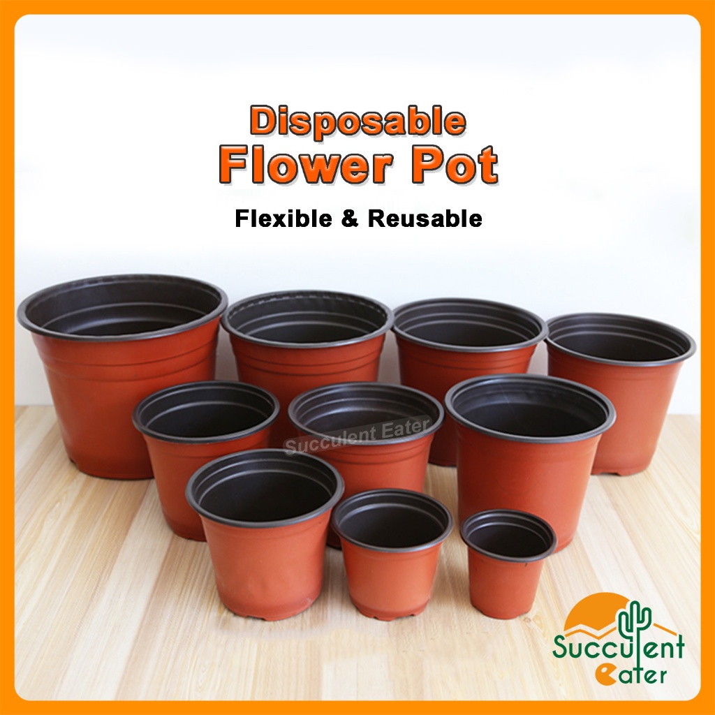 Disposable Pot Pasu Nursery Plastic Flower Plant Pot Plastic Semaian Seedling Pot 一次性花圃塑料育苗盆