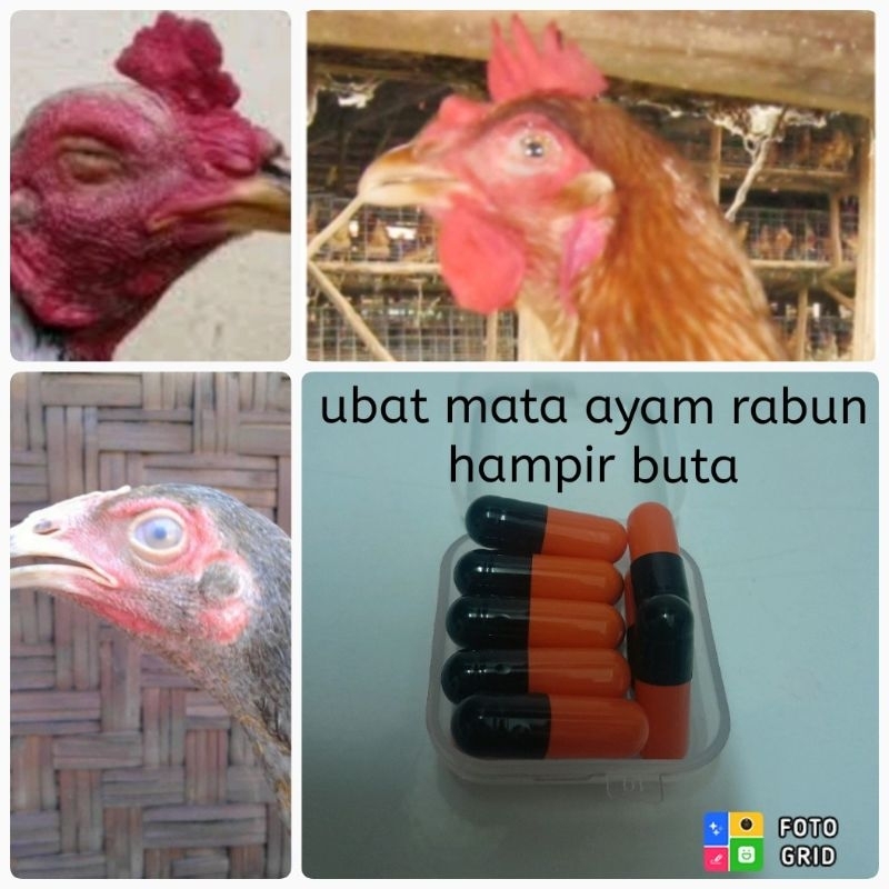 ubat mata ayam rabun kerana infeksi penyakit