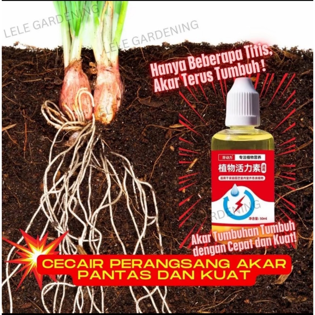 Vitamin Tumbuhan,Merangsang BungaTunas dan Akar yang Kukuh,Sesual untuk SemuaJenis Succulent dan Tanaman Hiasan